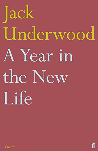 Stock image for A Year in the New Life for sale by WorldofBooks