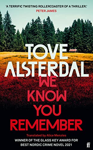 9780571368907: We Know You Remember: The No. 1 International Bestseller (High Coast series)