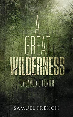 Stock image for Great Wilderness, A for sale by Save With Sam