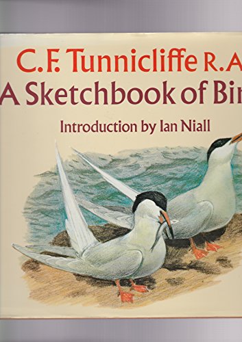 Stock image for Sketchbook of Birds for sale by WorldofBooks