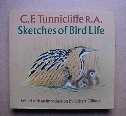 Stock image for Sketches of Bird Life for sale by WorldofBooks