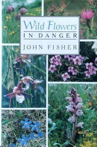 Stock image for Wild Flowers in Danger for sale by WorldofBooks