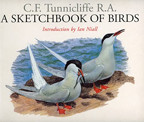 Stock image for A Sketchbook of Birds for sale by WorldofBooks