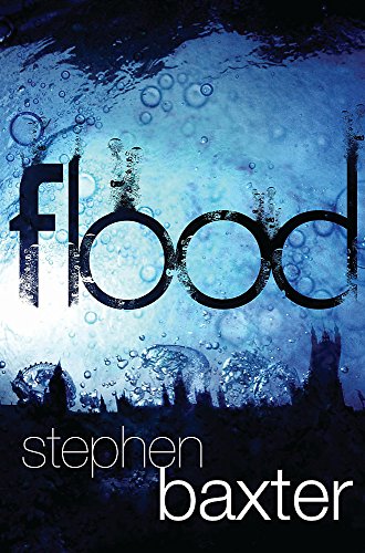 Stock image for Flood for sale by WorldofBooks