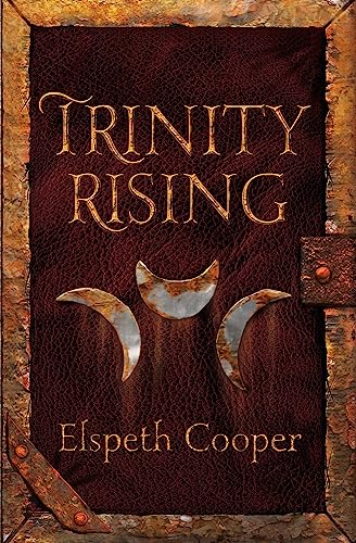 Beispielbild fr Trinity Rising: The Wild Hunt Book Two: 2/4 (The Wild Hunt Quartet) zum Verkauf von WorldofBooks