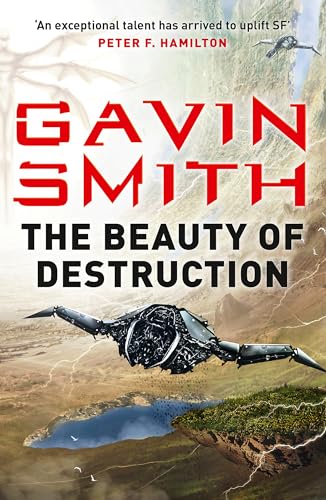 Beispielbild fr The Beauty of Destruction zum Verkauf von WorldofBooks