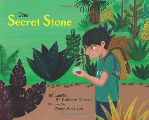 9780578006727: The Secret Stone by Jill Lauffer, Kathleen Roberts (2009) Hardcover