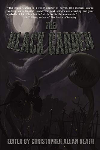 Stock image for The Black Garden for sale by Lucky's Textbooks