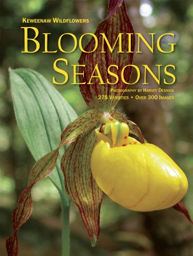 9780578014036: Title: Keweenaw Wildflowers Blooming Seasons