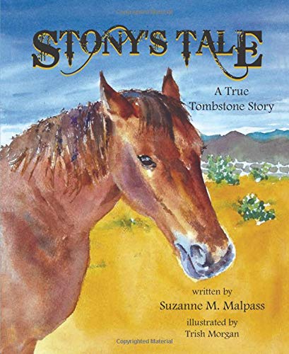 Stock image for Stony's Tale: A True Tombstone Story for sale by medimops
