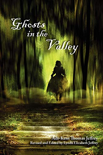 Imagen de archivo de Ghosts in the Valley a la venta por Half Price Books Inc.