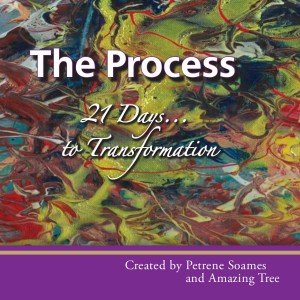 PROCESS (The): 21 Days to Transformation