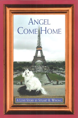 Stock image for Angel Come Home: A Love Story for sale by HPB-Diamond