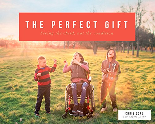 Stock image for The Perfect Gift : Seeing the Child, Not the Condition for sale by Better World Books: West