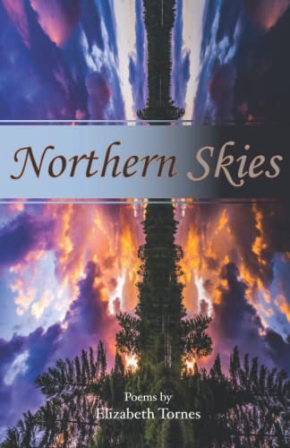 Beispielbild fr Northern Skies zum Verkauf von Books Unplugged