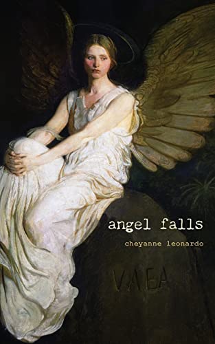 Stock image for angel falls for sale by ThriftBooks-Atlanta