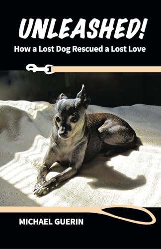 Beispielbild fr Unleashed! How A Lost Dog Rescued A Lost Love zum Verkauf von BooksRun