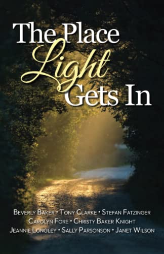 Stock image for The Place Light Gets In for sale by GF Books, Inc.