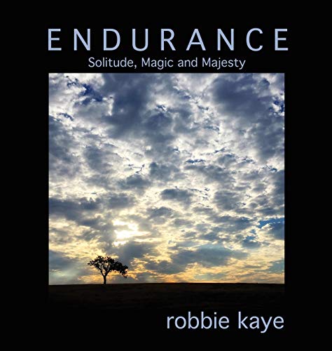 9780578405780: Endurance: Solitude, Magic and Majesty (Robbie Kaye Trilogy)