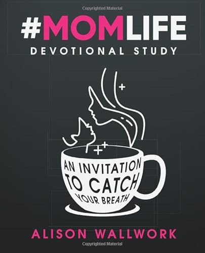 Imagen de archivo de Momlife Devotional Study: An invitation to catch your breath a la venta por SecondSale