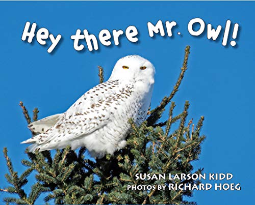 Stock image for Hey there Mr. Owl! for sale by SecondSale
