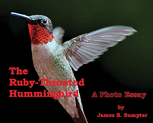 Stock image for The Ruby-Throated Hummingbird : A Photo Essay for sale by Better World Books