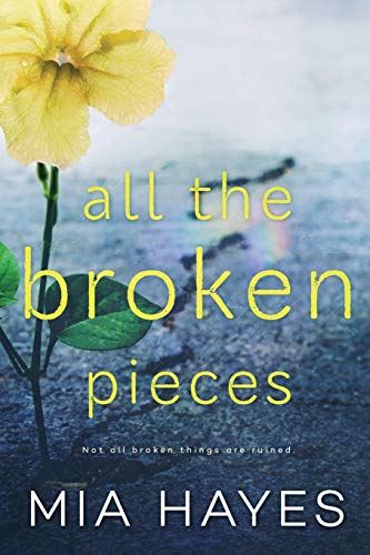 Imagen de archivo de All The Broken Pieces (A Waterford Novel) a la venta por HPB Inc.