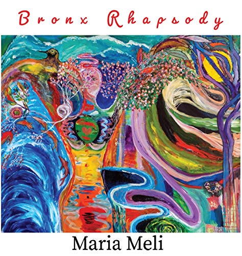 9780578430454: Bronx Rhapsody