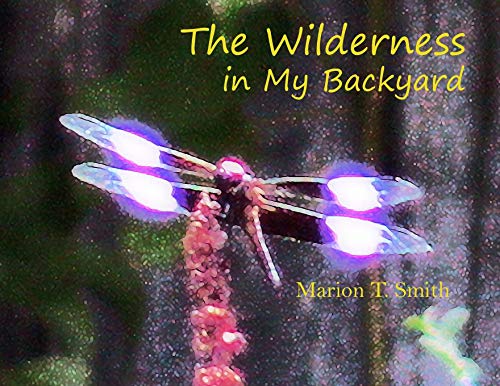 Stock image for The Wilderness in My Backyard for sale by Lucky's Textbooks
