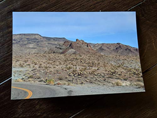Stock image for postcardsfromtheroad for sale by HPB-Diamond