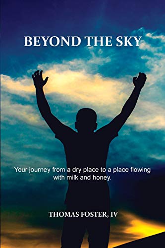 Beispielbild fr Beyond the Sky zum Verkauf von Buchpark