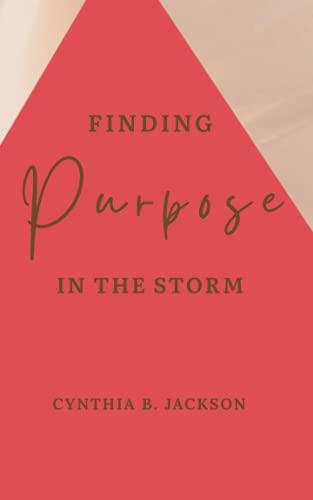 Stock image for Finding Purpose in the Storm for sale by SecondSale