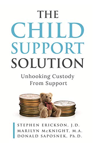 Imagen de archivo de The Child Support Solution: Unhooking Custody From Support a la venta por HPB Inc.