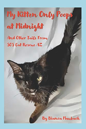 Stock image for My Kitten Only Poops at Midnight: And Other Tails from SOS Cat Rescue AZ for sale by Lucky's Textbooks