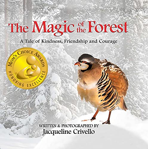 Stock image for The Magic of the Forest for sale by Goodwill of Colorado