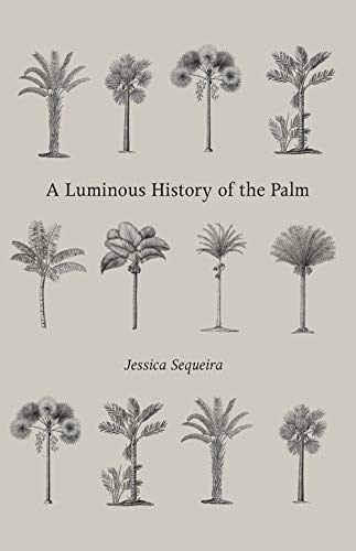 9780578641164: A Luminous History of the Palm