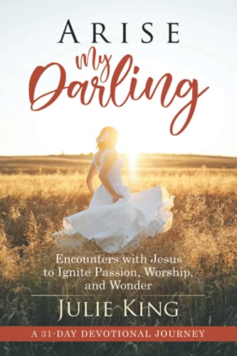 Stock image for Arise My Darling: Encounters with Jesus to Ignite Passion, Worship, and Wonder for sale by SecondSale