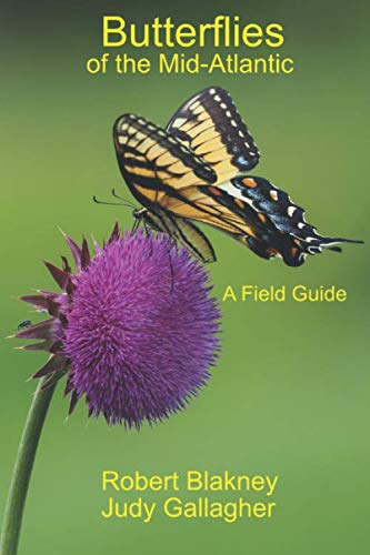 Beispielbild fr Butterflies of the Mid-Atlantic, a Field Guide zum Verkauf von Book Deals
