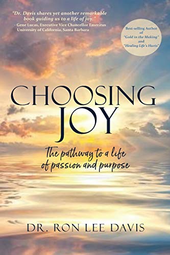 Imagen de archivo de Choosing Joy: The Pathway to a Life of Passion and Purpose a la venta por SecondSale