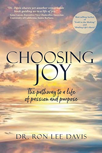 Stock image for Choosing Joy: The Pathway to a Life of Passion and Purpose for sale by SecondSale