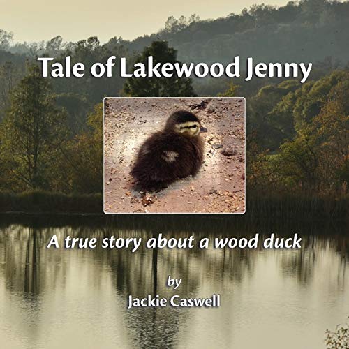Stock image for Tale of Lakewood Jenny: A true story about a wood duck for sale by SecondSale