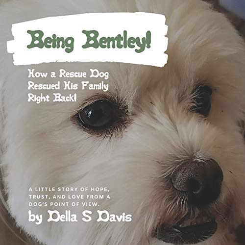Stock image for Being Bentley!: How a Rescue Dog Rescued His Family Right Back! A little story of hope, trust, and love from a dog's point of view. for sale by ThriftBooks-Atlanta