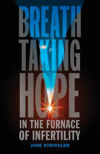 Beispielbild fr Breathtaking Hope In The Furnace Of Infertility zum Verkauf von ThriftBooks-Dallas