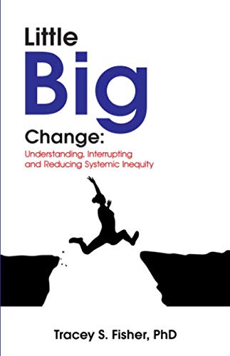 9780578733784: Little Big Change:: Understanding, Interrupting & Reducing Systemic Inequity