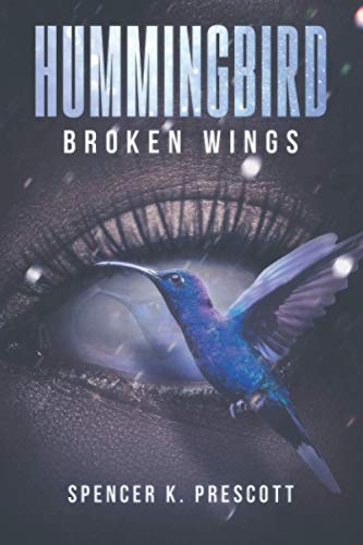 9780578743233: Hummingbird: Broken Wings (The Allison Creek Paranormal Suspense Series)