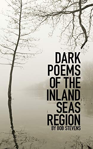 Beispielbild fr Dark Poems of the Inland Seas Region zum Verkauf von Buchpark