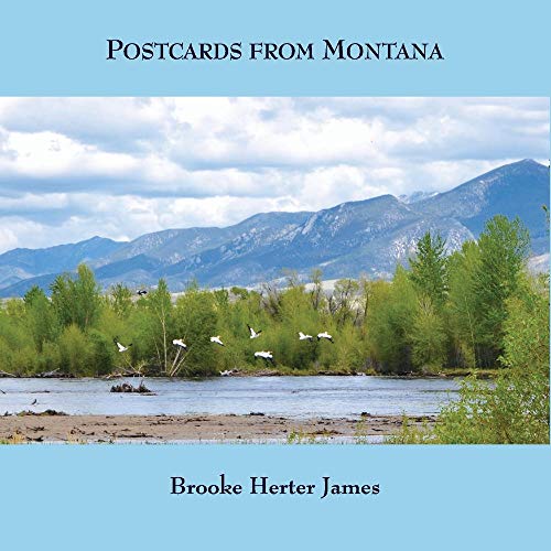 Stock image for Postcards from Montana for sale by ThriftBooks-Atlanta