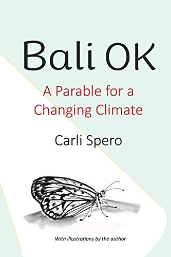 Imagen de archivo de Bali OK: A Parable for a Changing Climate a la venta por SecondSale