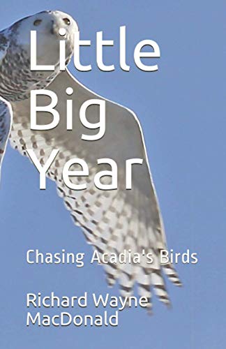 Stock image for Little Big Year: Chasing Acadia's Birds for sale by More Than Words