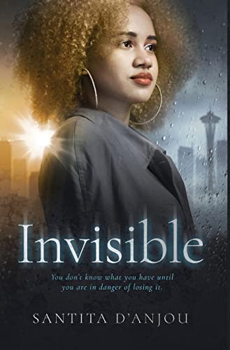 Stock image for Invisible for sale by GreatBookPrices